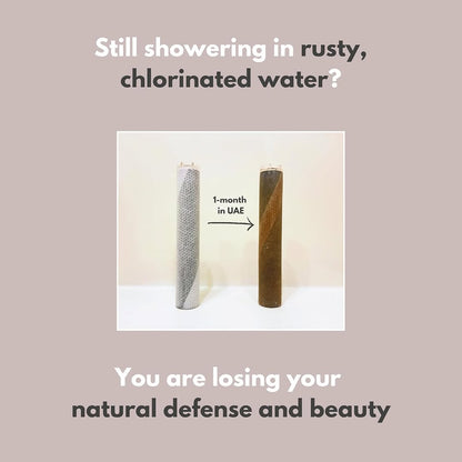 Vitamin C Head Shower Filter